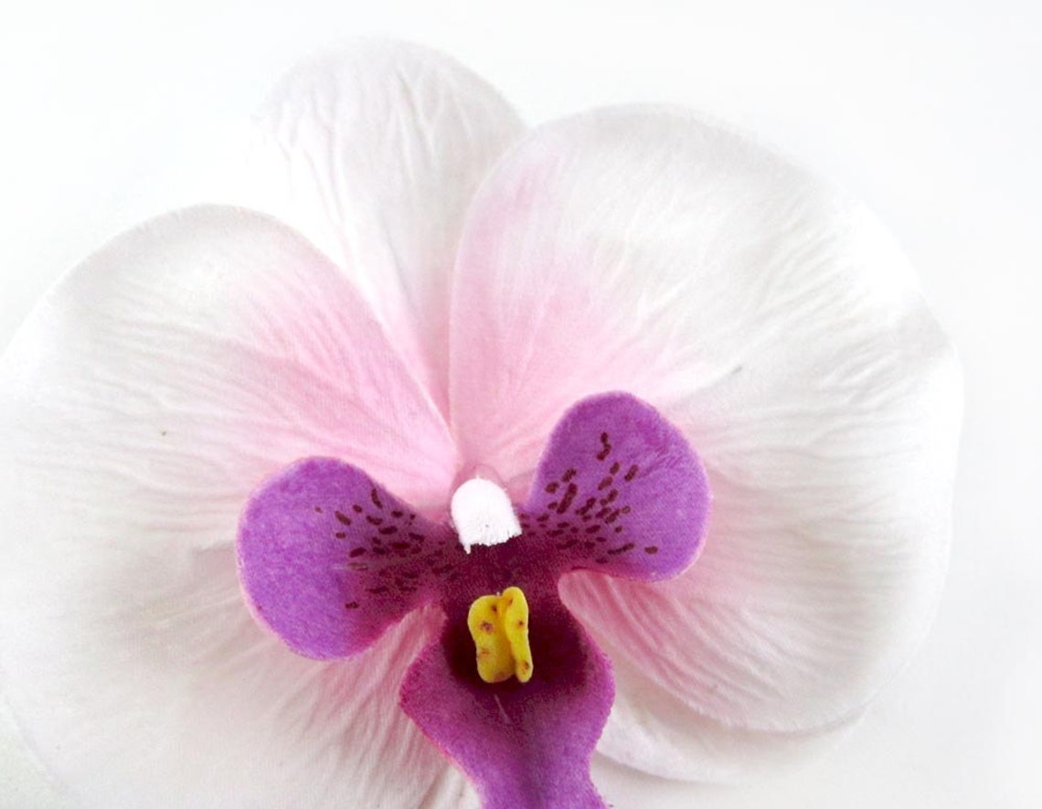 100x Large White Butterfly Orchids Heads 3.75 Fabric Etsy