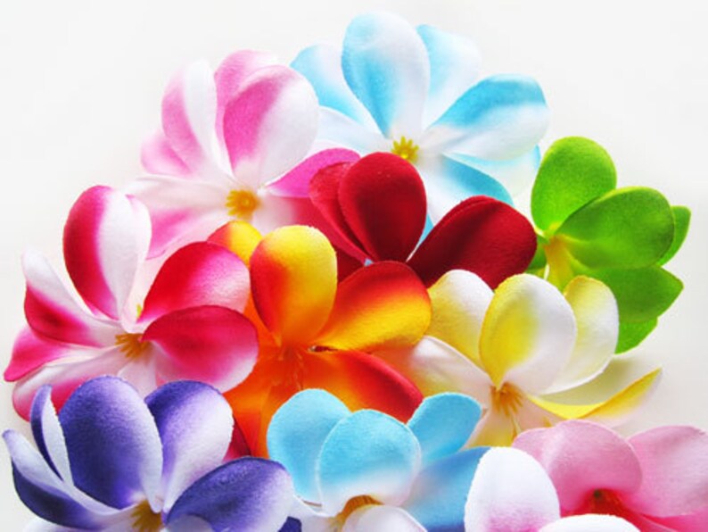 100 Assorted Mixed Plumeria Frangipani Heads Artificial Silk Etsy