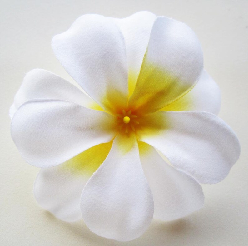 100 White Plumeria Frangipani Heads Artificial Silk Flower Etsy