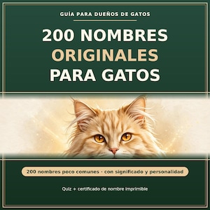 Könnte beinhalten: Ein digitaler Ratgeber mit dem Titel GUÍA PARA DUEÑOS DE GATOS, 200 NOMBRES ORIGINALES PARA GATOS, mit einer zentralen Illustration einer flauschigen orangefarbenen Katze mit bernsteinfarbenen Augen und dem Text 200 nombres poco comunes, con significado y personalidad.