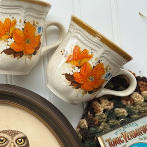 May include: Two speckled off-white ceramic mugs featuring a painted orange floral pattern with brown accents and a brown rim. Below the mugs, a circular framed owl print and a rectangular sign labeled Dr. D. Jayne's Tonic Vermifuge.