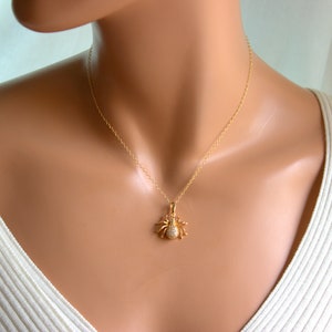 May include: A gold chain necklace with a small, sparkling spider pendant.