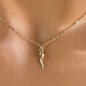 Tiny Gold Italian Horn Necklace Horn Charm sterling silver Small Women Cornetto Cornicello Charm Jewelry 14K Gold Filled Italian Pride