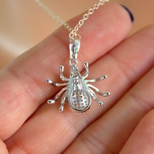 May include: A silver spider pendant necklace with a detailed design. The spider has a round body with a mesh pattern and eight legs.