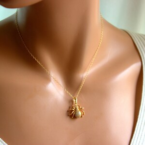 May include: A gold chain necklace with a small, sparkling spider pendant. The spider is made of gold and has clear stones for eyes.