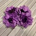 see more listings in the Flowers by Pieces/Bulk section