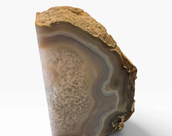 May include: A polished agate slice featuring concentric bands of beige, grey, and white surrounding a central crystalline geode cavity. The outer edge of the stone retains a rough, textured, and earthy brown natural rock crust.