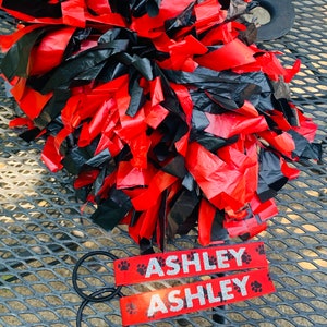 Pom Pom Tags Set of 2 Cheer Cheerleader Name Personalized Team Gift Cheer Camp Pom Tags Tie Ribbon tiktok image 9