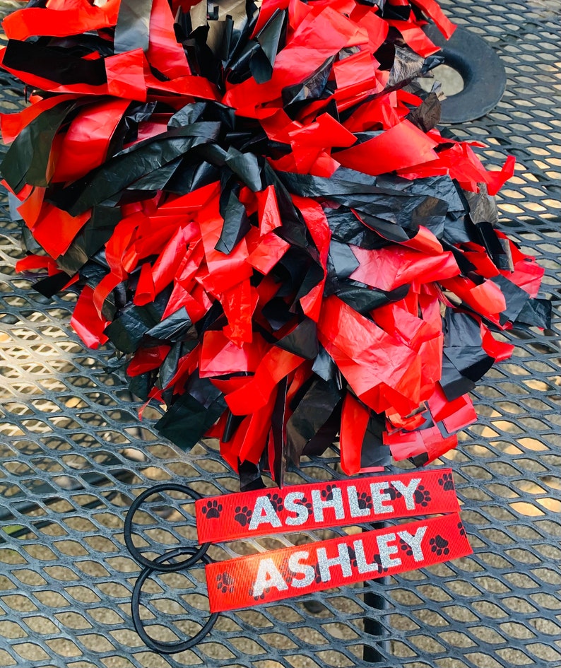 Pom Pom Tags Set of 2 Cheer Cheerleader Name Personalized Team Gift Cheer Camp Pom Tags Tie Ribbon tiktok Bild 9