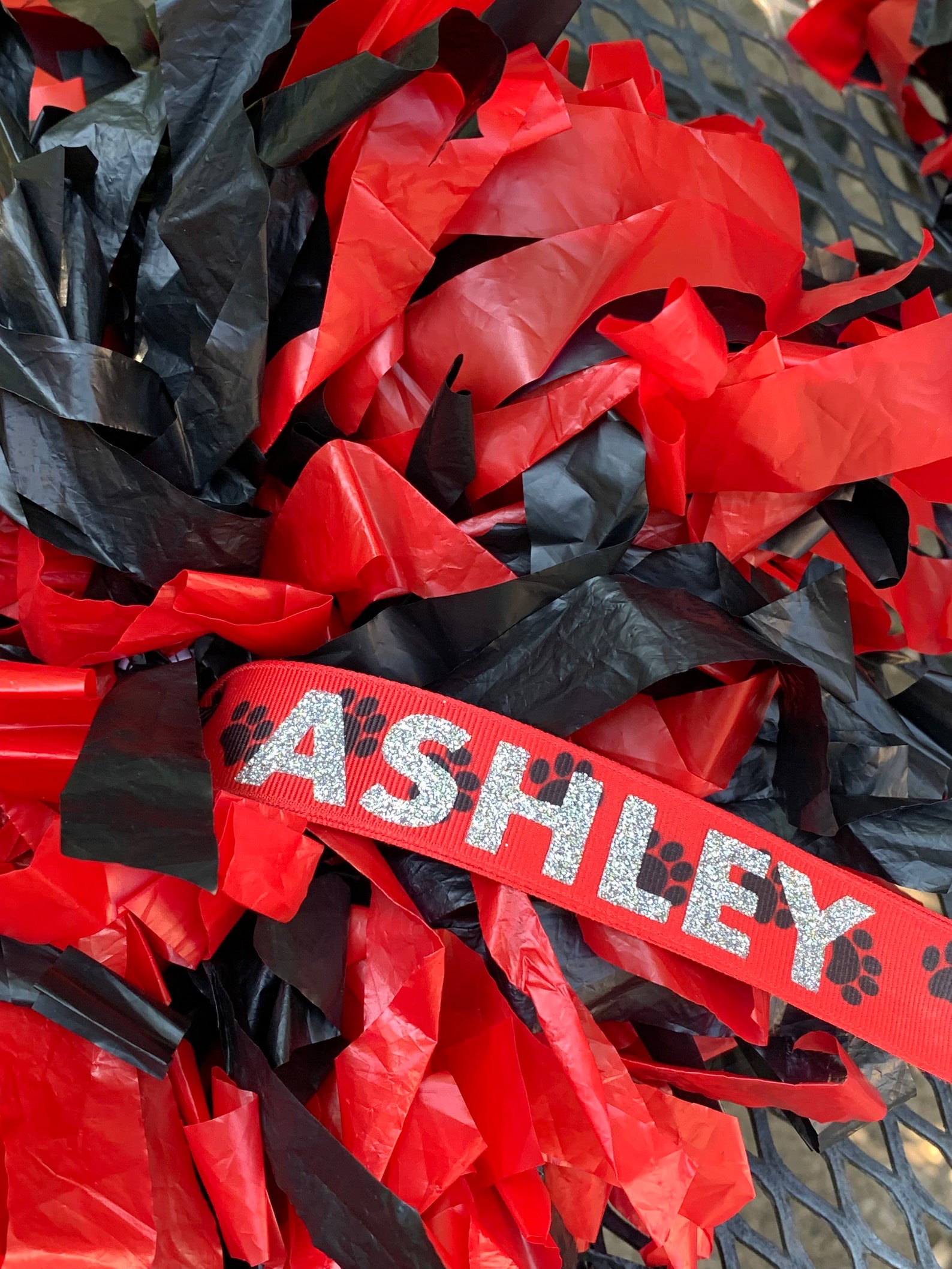 Pom Pom Name Tags Set of 2 Cheerleader Gifts Team Gifts Etsy