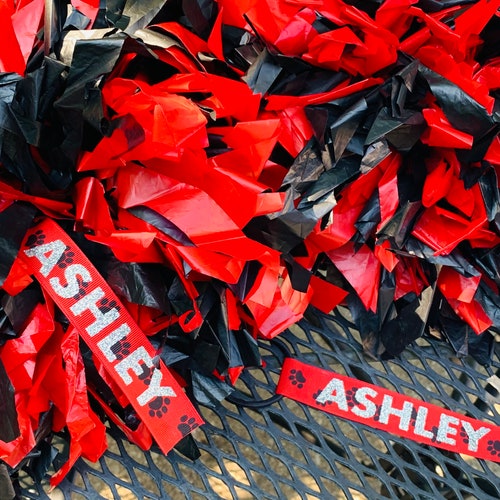 Pom Pom Name Tags Set of 2 Cheerleader Gifts Team Gifts Etsy