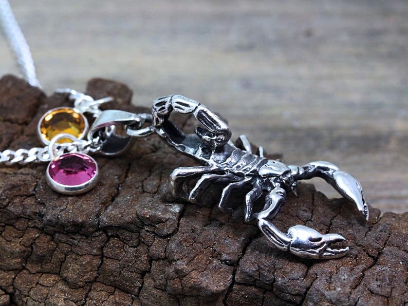 Sterling Silver Scorpion Necklace Choose Chain Exotic Silver Etsy