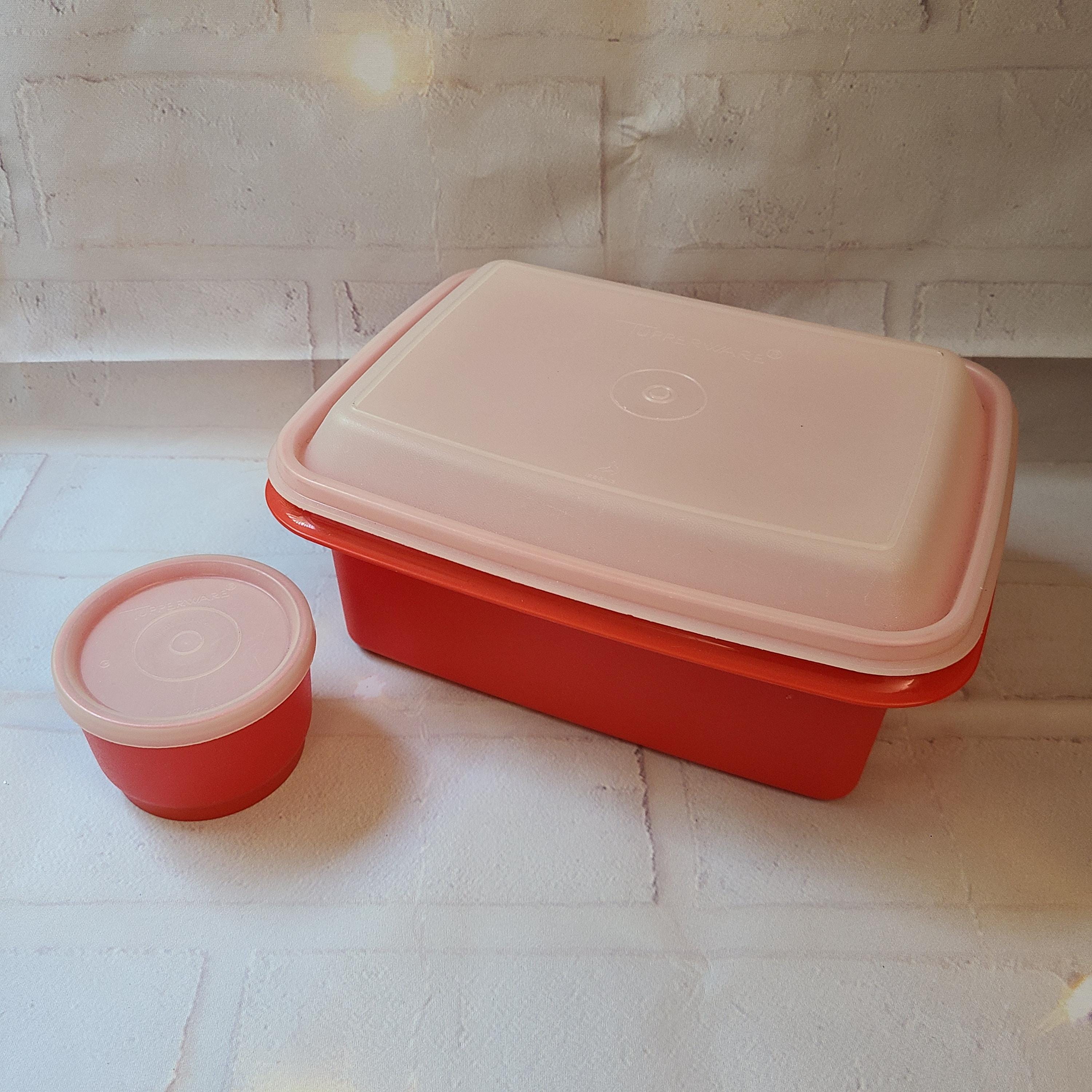 Tupperware Snack Box