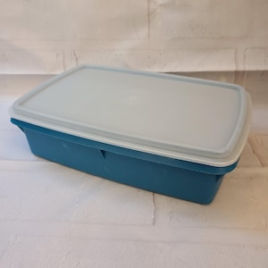 May include: A rectangular storage container with a deep teal blue base and a translucent, semi-opaque white lid. The container features a smooth, solid-colored plastic construction with a simple, functional design and a secure-fitting lid.