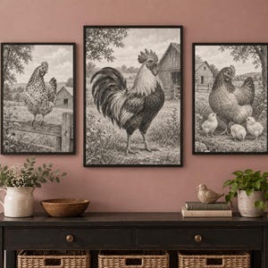 May include: A set of three black and white framed wall art prints depicting farm scenes. The center print features a rooster, while the side prints show a hen on a fence and a hen with three chicks, all set against a rural barn background.