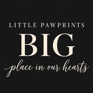 May include: A black rectangular sign featuring the white text LITTLE PAWPRINTS in a clean serif font, the large word BIG in a bold serif font, and the phrase place in our hearts in a white cursive script font.