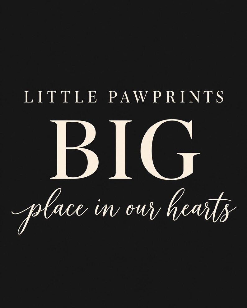 May include: A black rectangular sign featuring the white text LITTLE PAWPRINTS in a clean serif font, the large word BIG in a bold serif font, and the phrase place in our hearts in a white cursive script font.