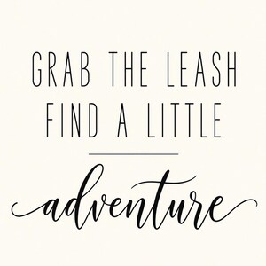 Op de afbeelding: Een witte wandkunstprint met zwarte tekst die luidt GRAB THE LEASH FIND A LITTLE adventure. De eerste twee regels zijn in een hoog, dun schreefloos lettertype, gevolgd door een horizontale lijn en het woord adventure in een cursief handschrift.