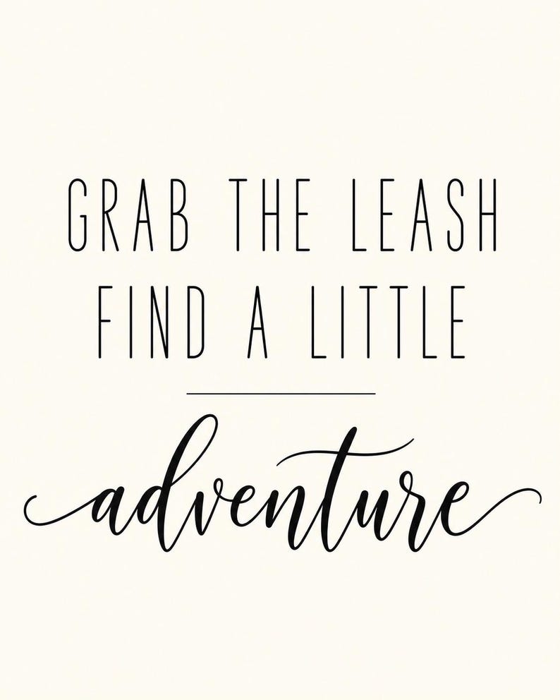 Op de afbeelding: Een witte wandkunstprint met zwarte tekst die luidt GRAB THE LEASH FIND A LITTLE adventure. De eerste twee regels zijn in een hoog, dun schreefloos lettertype, gevolgd door een horizontale lijn en het woord adventure in een cursief handschrift.