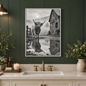 Puede incluir: Una impresi&oacute;n de arte mural en blanco y negro enmarcada que muestra una vaca Highland de pie en un campo embarrado cerca de un granero de madera r&uacute;stico. La escena incluye un charco en primer plano que refleja la vaca y el granero.