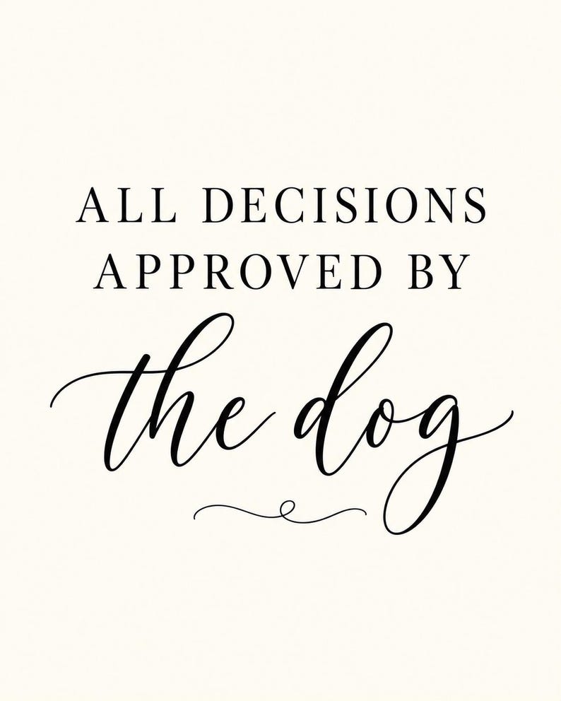 May include: A rectangular wall art print featuring the black text ALL DECISIONS APPROVED BY the dog on a cream-colored background. The words ALL DECISIONS APPROVED BY are in a clean serif font, while the dog is in a cursive script.