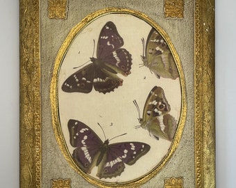 Florentine butterfly wall plaque