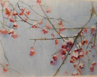 Berries in Winter, Chicago