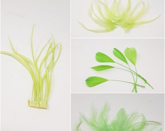 Lime feathers for hat making, coque, biots, turkey and hackle milinery fascinator DIY.