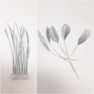 Metallic zilveren veren voor het maken van hoeden, coque, biots, kalkoen en hackle modevak fascinator DIY. afbeelding 1