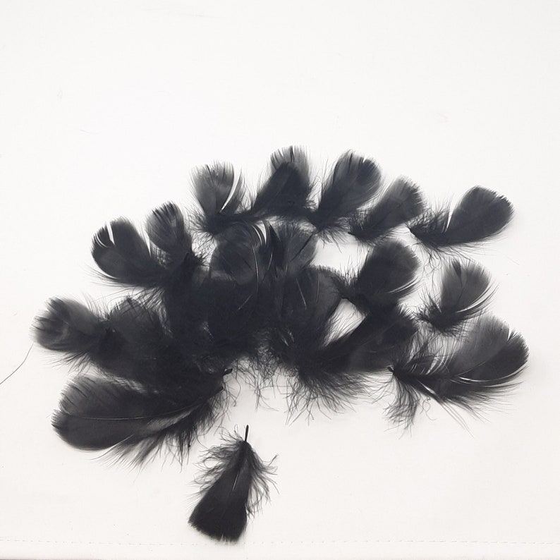Black feathers for hat making, coque, biots, turkey and hackle milinery fascinator DIY. image 3