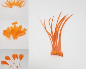 Orange feathers for hat making, coque, biots, turkey and hackle milinery fascinator DIY.