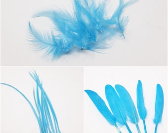 Turquoise  feathers for hat making, coque, biots, turkey and hackle milinery fascinator DIY.