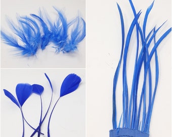 Royal blue feathers for hat making, coque, biots, turkey and hackle milinery fascinator DIY.