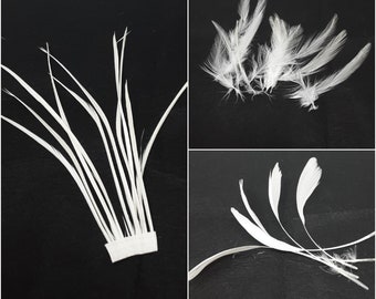 Ivory feathers for hat making, coque, biots, turkey and hackle milinery fascinator DIY.