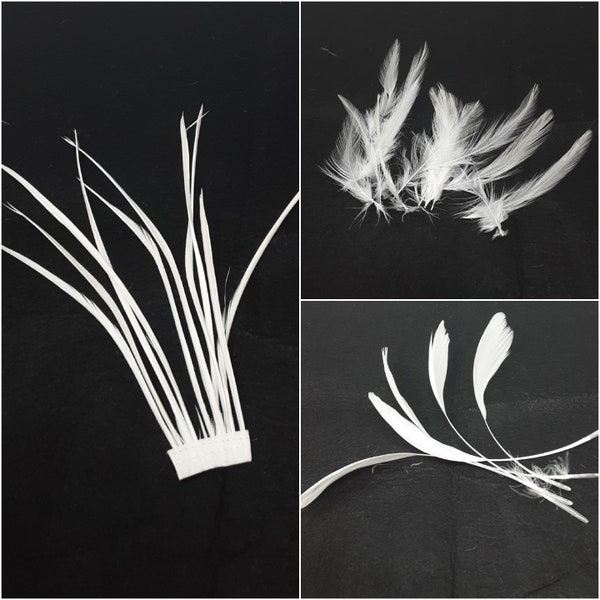 Ivory feathers for hat making, coque, biots, turkey and hackle milinery fascinator DIY.