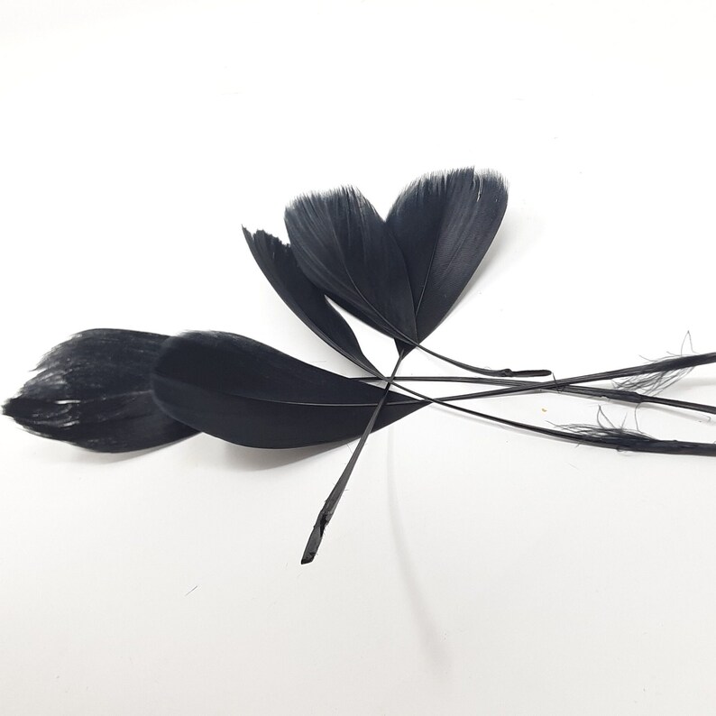 Black feathers for hat making, coque, biots, turkey and hackle milinery fascinator DIY. image 2