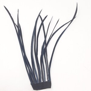 Black feathers for hat making, coque, biots, turkey and hackle milinery fascinator DIY. image 5