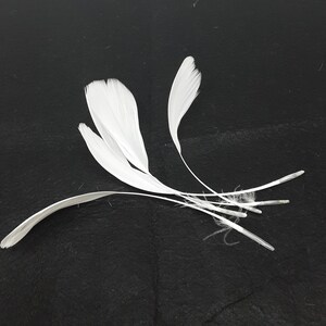 White feathers for hat making, coque, biots, turkey and hackle milinery fascinator DIY. image 4