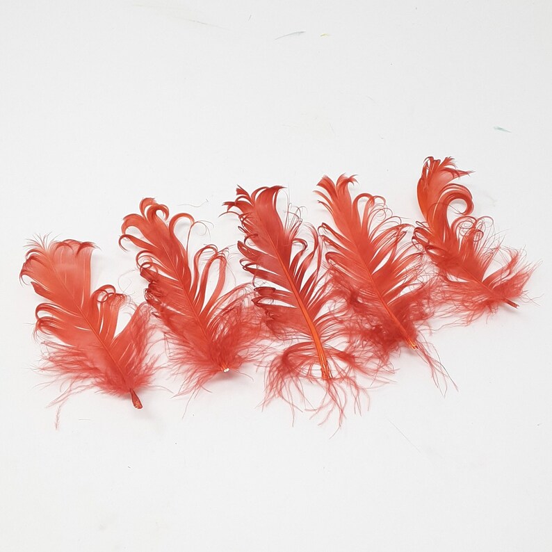 Burnt orange feathers for hat making, coque, biots, turkey and hackle milinery fascinator DIY. Nagoire feathers x 5