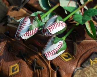 Baseball Sport Bud Roses