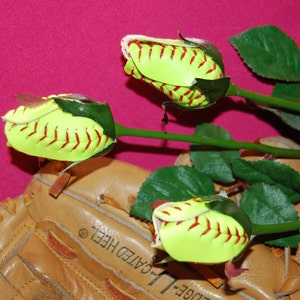 Softball Sport Boutons Roses