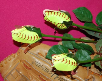 Softball Sport Buds Roses