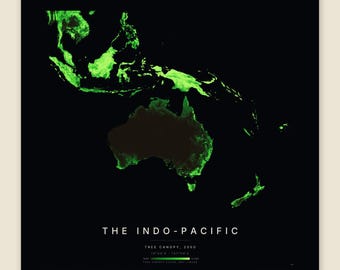 Könnte beinhalten: Ein quadratischer Kartendruck mit dem Titel THE INDO-PACIFIC, der Baumkronendaten aus dem Jahr 2000 zeigt. Die Karte zeigt hellgrüne Landmassen auf schwarzem Hintergrund mit einer Farbskala zur Anzeige der Dichte.