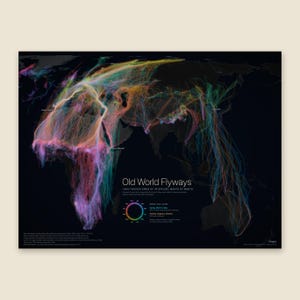 May include: A dark-themed map titled Old World Flyways displaying 1,840 tracked birds of 49 species. Multicoloured lines represent migration paths across continents, with a circular legend indicating seasonal timing for spring and autumn movements.