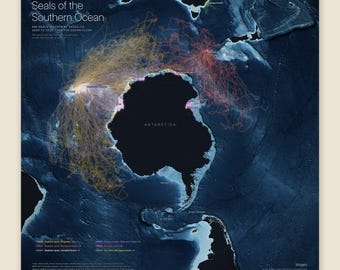 Könnte beinhalten: Eine dunkelblaue Karte mit dem Titel Seals of the Southern Ocean, die Satelliten-Tracking-Pfade von Robben von 2008 bis 2020 zeigt. Die Karte zeigt die Antarktis im Zentrum, umgeben von farbigen Linien, die verschiedene Wanderrouten darstellen.