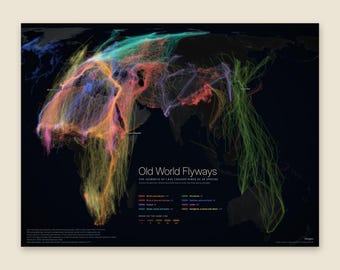 Könnte beinhalten: Eine schwarze Karte mit dem Titel Old World Flyways, die die Routen von 1.843 verfolgten Vögeln aus 49 Arten zeigt. Mehrfarbige Linien stellen verschiedene Vogelzugwege über Europa, Afrika und Asien dar, inklusive einer Legende.