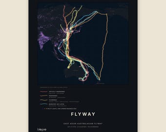 Könnte beinhalten: Eine dunkel gestaltete Karte mit dem Titel FLYWAY, East Asian Australasian Flyway, die farbige Wanderrouten von Watvögeln über einer dunklen Erdkugel mit Stadtlichtern zeigt. Eine Legende erläutert die verschiedenen Gefährdungsstufen.