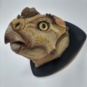 Montura de dinosaurio a escala 1 a 1 de Ajkaceratops Kozmai