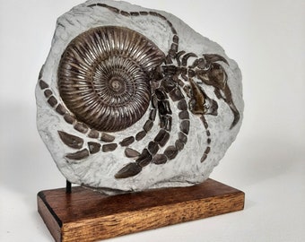 Tusked Ammonite Fossil (Dark Phase)
