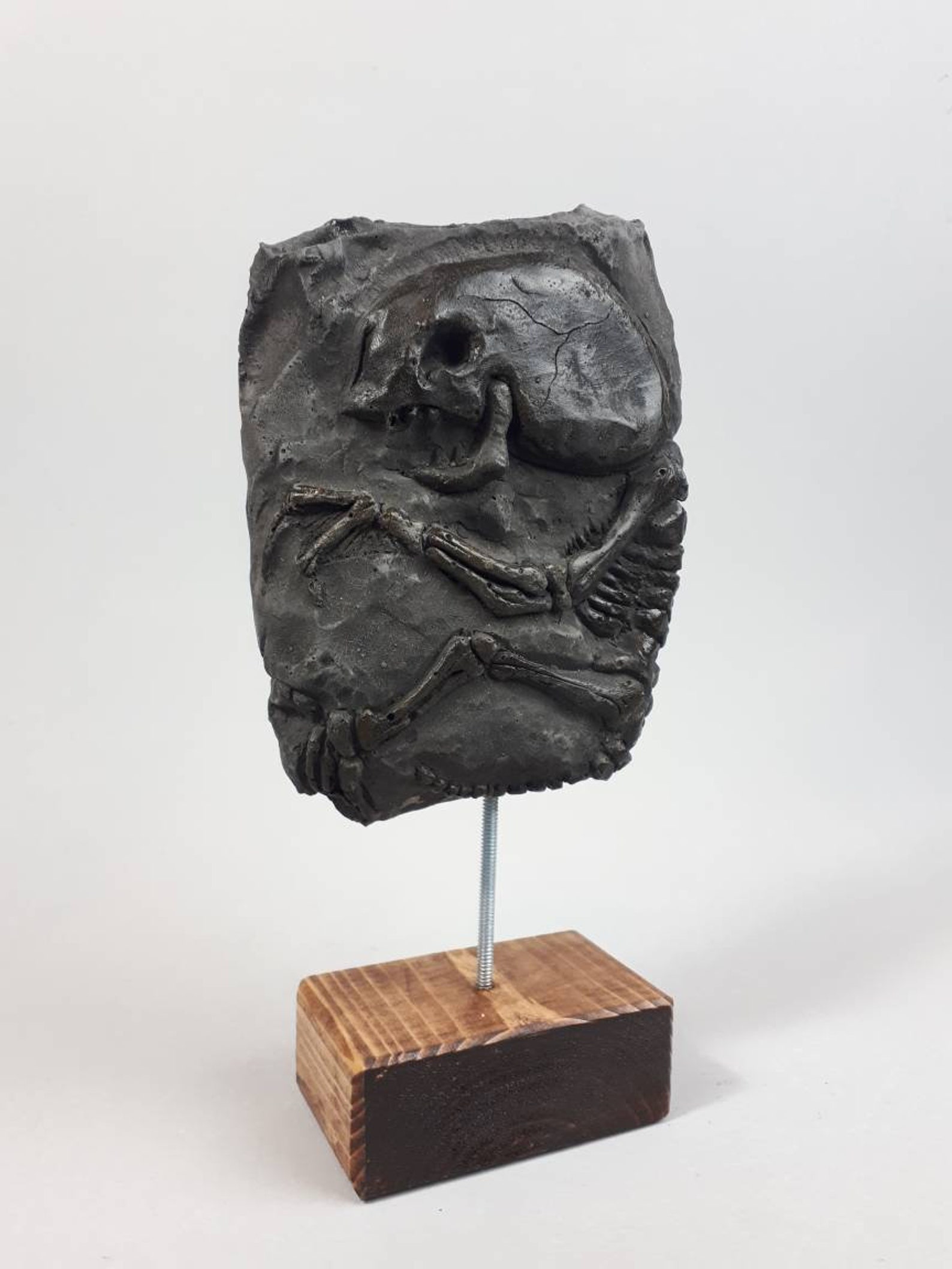 Alien Fetus Fossil and Display stand Etsy